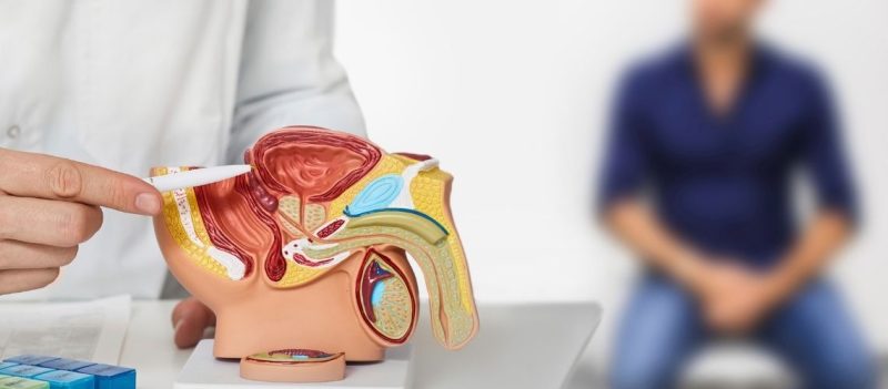 İyi Huylu İle Kötü Huylu Prostat Arasında Ne Gibi Farklar Var?
